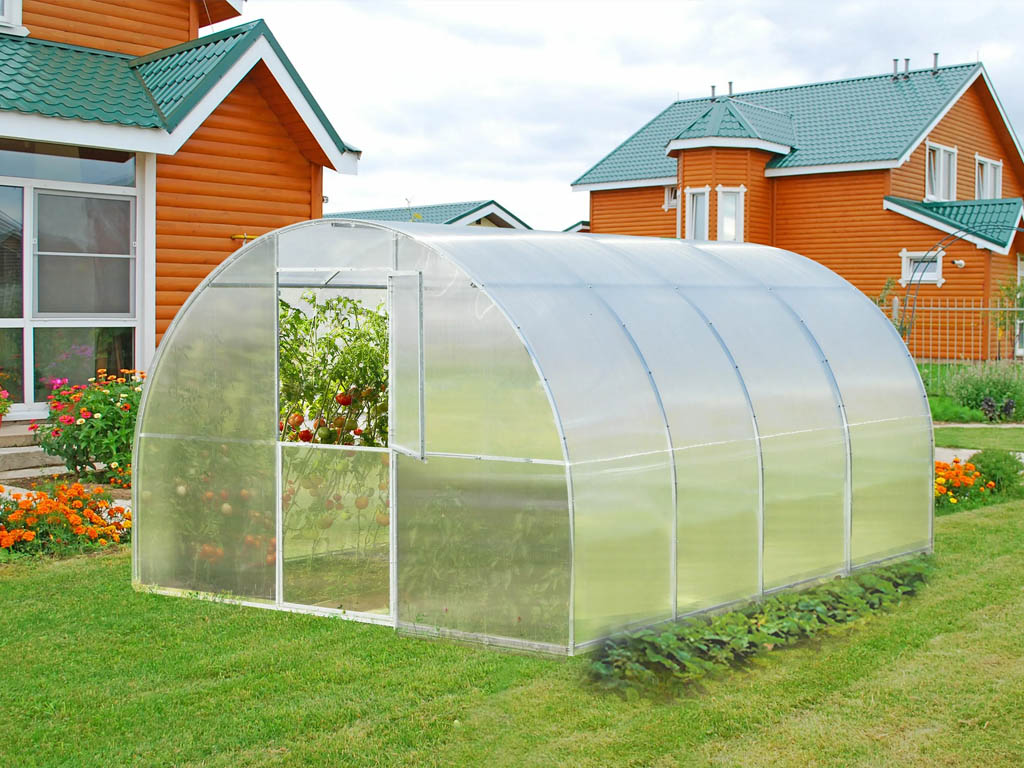 Купить теплицу из поликарбоната: ваш путь к богатому урожаю круглый год